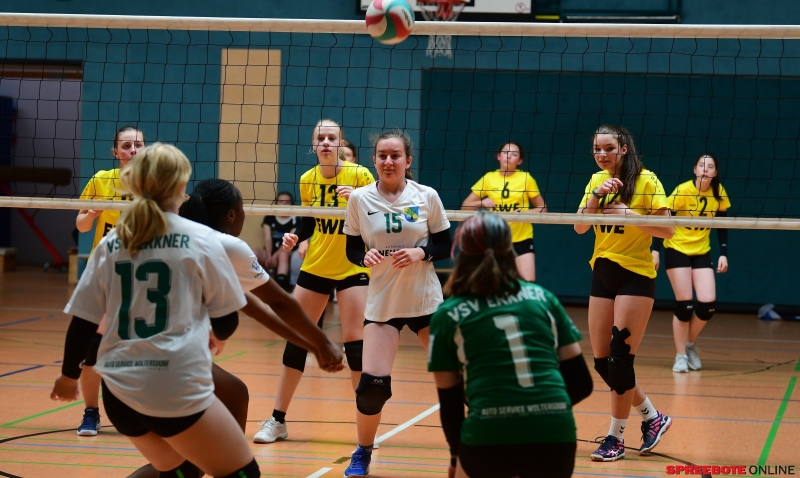 Pneumant-Volleyball-Turnier-007