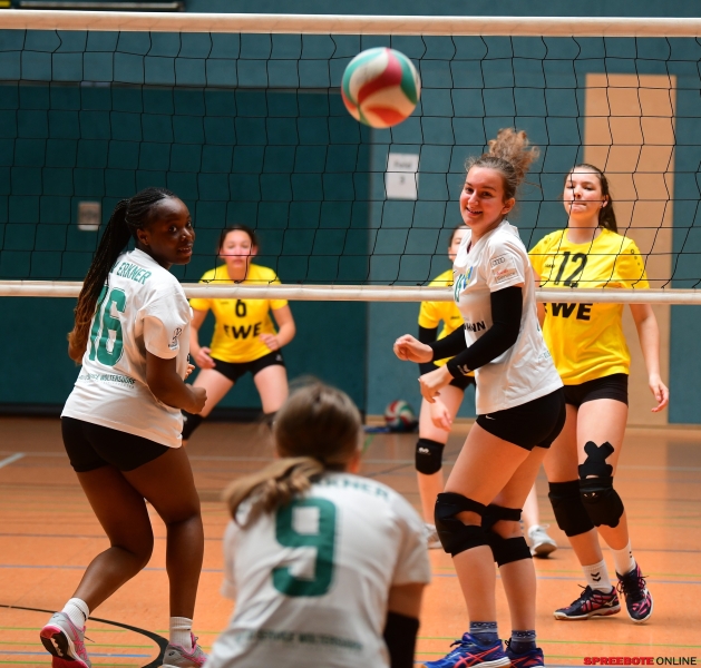 Pneumant-Volleyball-Turnier-011