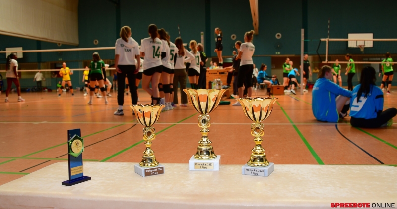 Pneumant-Volleyball-Turnier-022