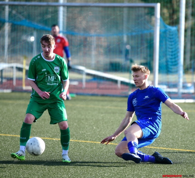 Pneumant-Wiesenau20-007