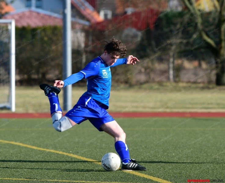 Pneumant-Wiesenau20-010