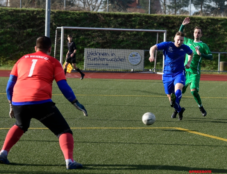 Pneumant-Wiesenau20-015