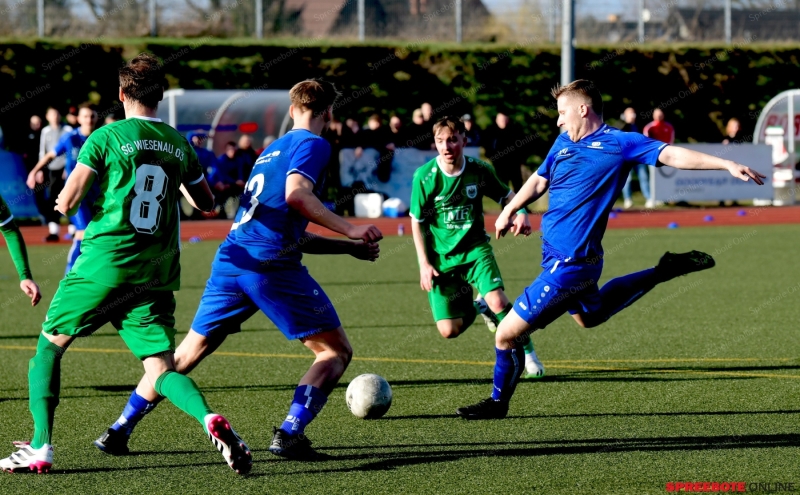 Pneumant-Wiesenau20-017