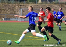 spreebote-Pneumi-A-EFH-Dynamo-240