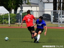 spreebote-Pneumi-A-EFH-Dynamo-451