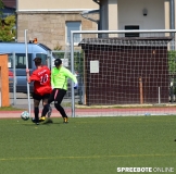 spreebote-Pneumi-A-EFH-Dynamo-503