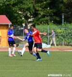 spreebote-Pneumi-A-EFH-Dynamo-509