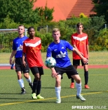 spreebote-Pneumi-A-EFH-Dynamo-561