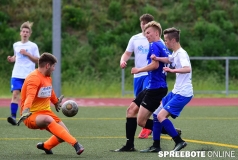 A-Pneumi-Schoeneiche-007