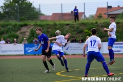 A-Pneumi-Schoeneiche-043