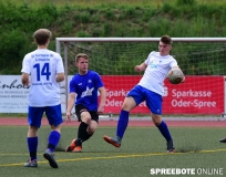 A-Pneumi-Schoeneiche-049