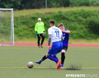 A-Pneumi-Schoeneiche-092