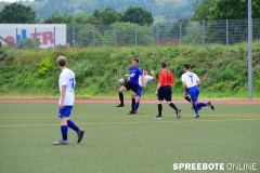 A-Pneumi-Schoeneiche-101