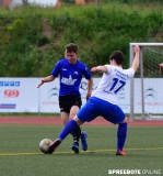 A-Pneumi-Schoeneiche-116