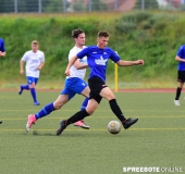 A-Pneumi-Schoeneiche-136