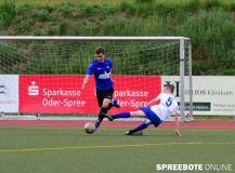 A-Pneumi-Schoeneiche-144