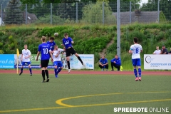 A-Pneumi-Schoeneiche-147