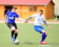 A-Pneumi-Schoeneiche-188