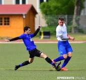 A-Pneumi-Schoeneiche-219