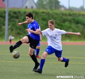 A-Pneumi-Schoeneiche-237