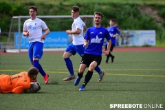 A-Pneumi-Schoeneiche-247