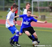 A-Pneumi-Schoeneiche-267