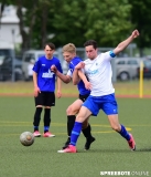 A-Pneumi-Schoeneiche-280