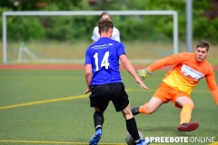 A-Pneumi-Schoeneiche-295