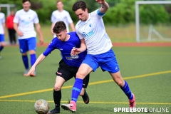 A-Pneumi-Schoeneiche-303