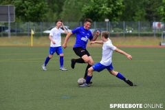 A-Pneumi-Schoeneiche-336