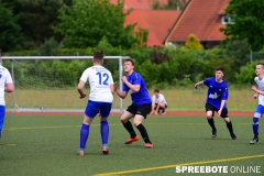 A-Pneumi-Schoeneiche-345