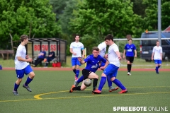 A-Pneumi-Schoeneiche-359