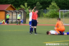 A-Pneumi-Schoeneiche-361