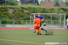 A-Pneumi-Schoeneiche-392