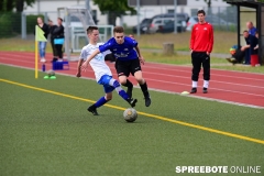 A-Pneumi-Schoeneiche-397