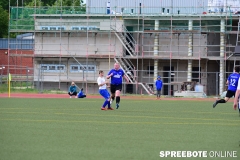 A-Pneumi-Schoeneiche-408