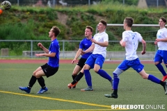 A-Pneumi-Schoeneiche-415