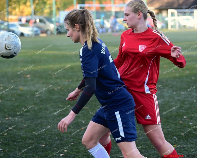 Pokal-Achtel-Finale-VfB-Frauen-Steinhofel-012
