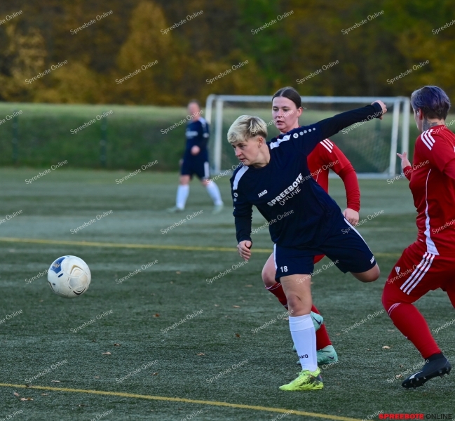 Pokal-Achtel-Finale-VfB-Frauen-Steinhofel-033