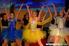 United-Dancers-Elements-215