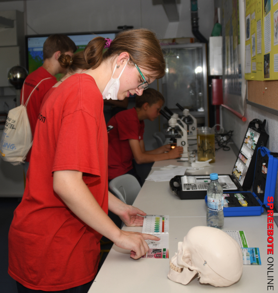 Rahn-Tag-off-Tür-16