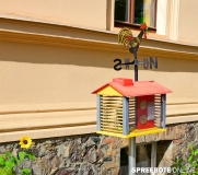 spreebote-Rahn-Tag-off-Grundschule-94