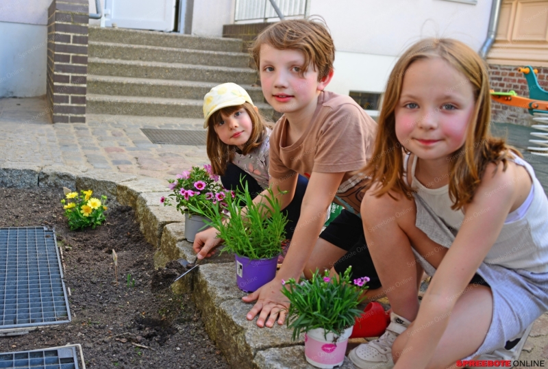 Rahnschule-Meine-Fest-Tag-off-Tur20-005