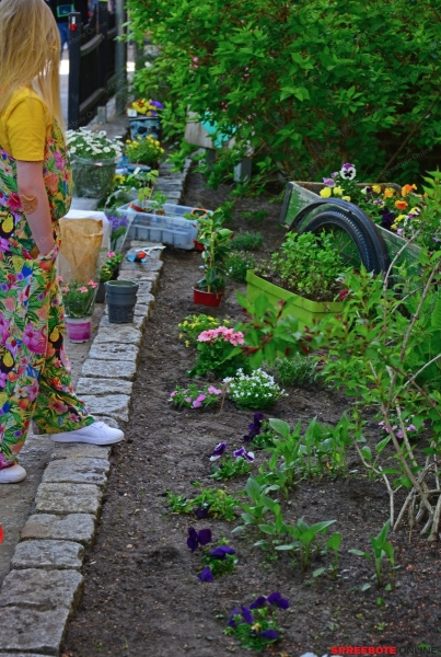 Rahnschule-Meine-Fest-Tag-off-Tur20-009