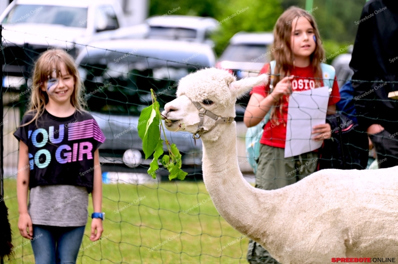 Rauen-GS-Pf-Brauer-Sommerfest-037