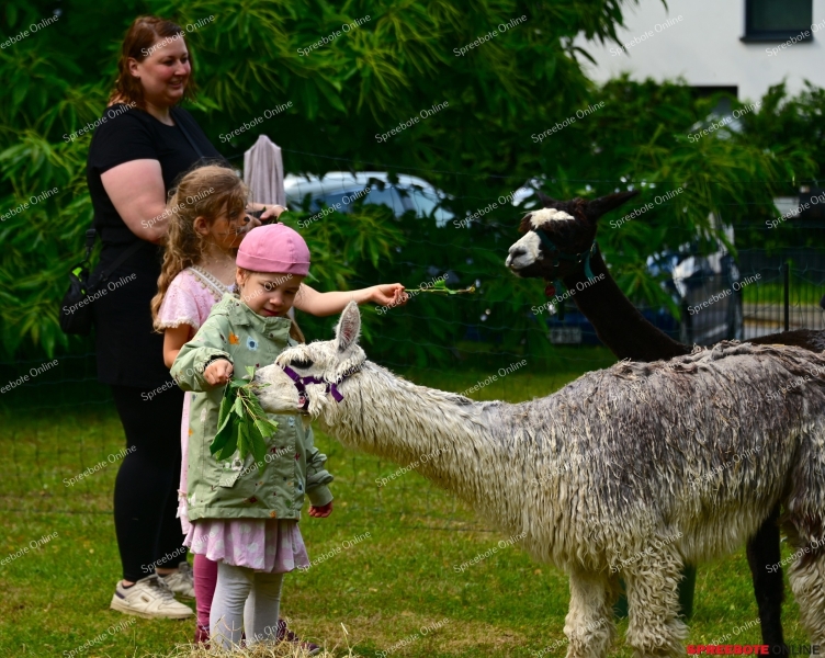 Rauen-GS-Pf-Brauer-Sommerfest-038