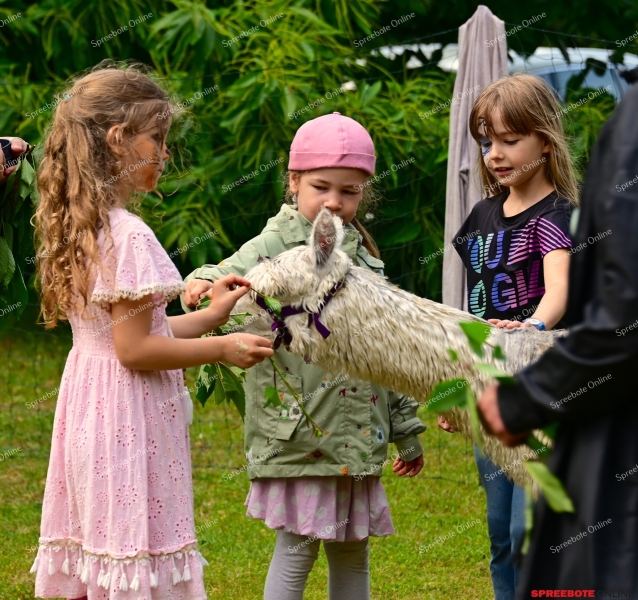 Rauen-GS-Pf-Brauer-Sommerfest-039