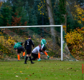 Rauen-zieht-durch-07