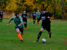 Rauen-zieht-durch-13