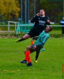 Rauen-zieht-durch-19